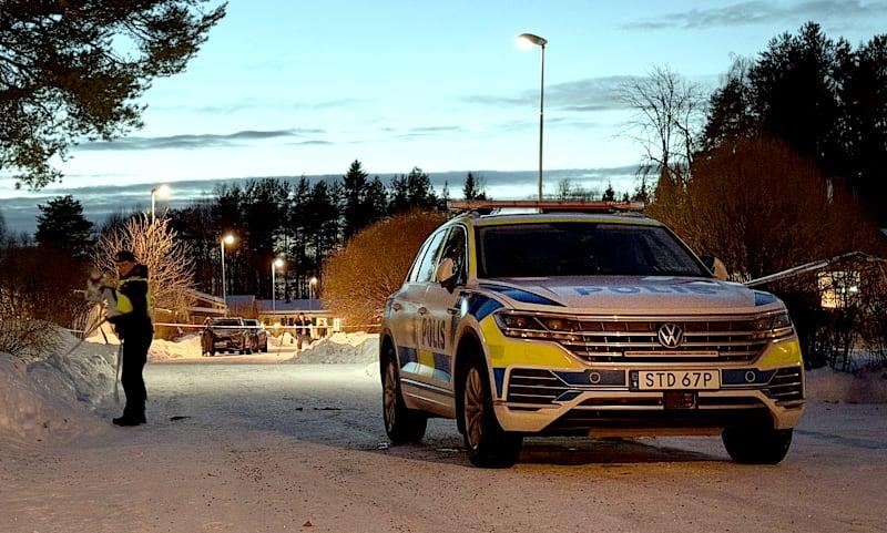 5359206582381311 image