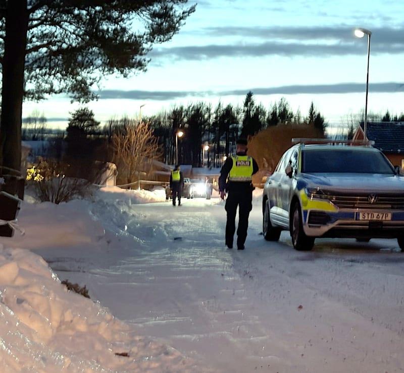 5359206716756436 image