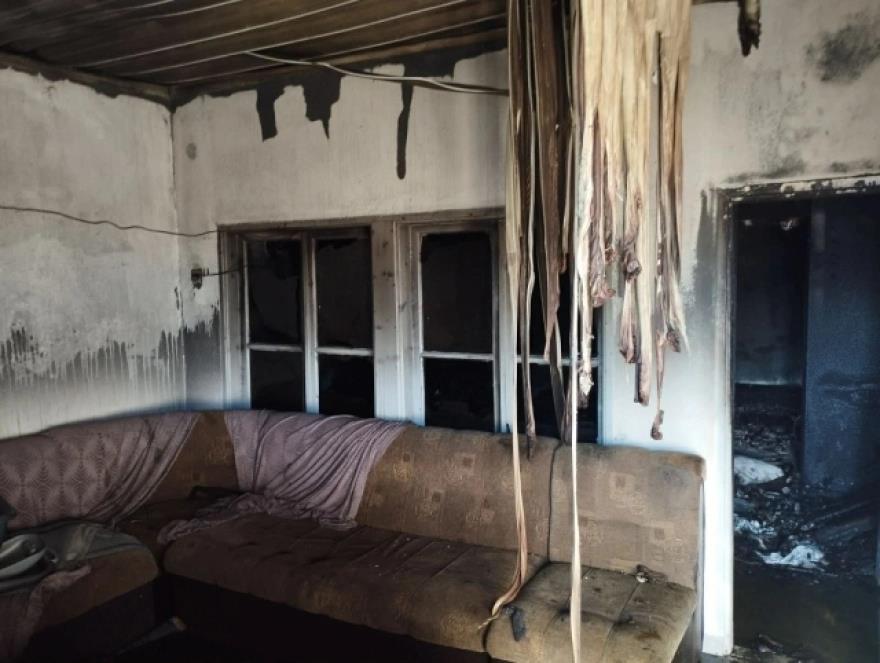 5359844874086636 image