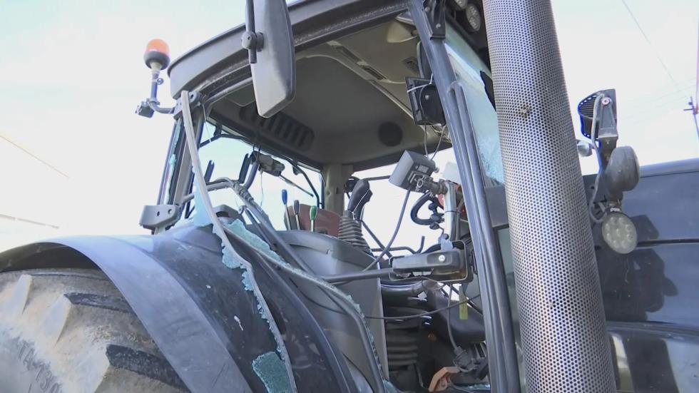 5363322211758251 image