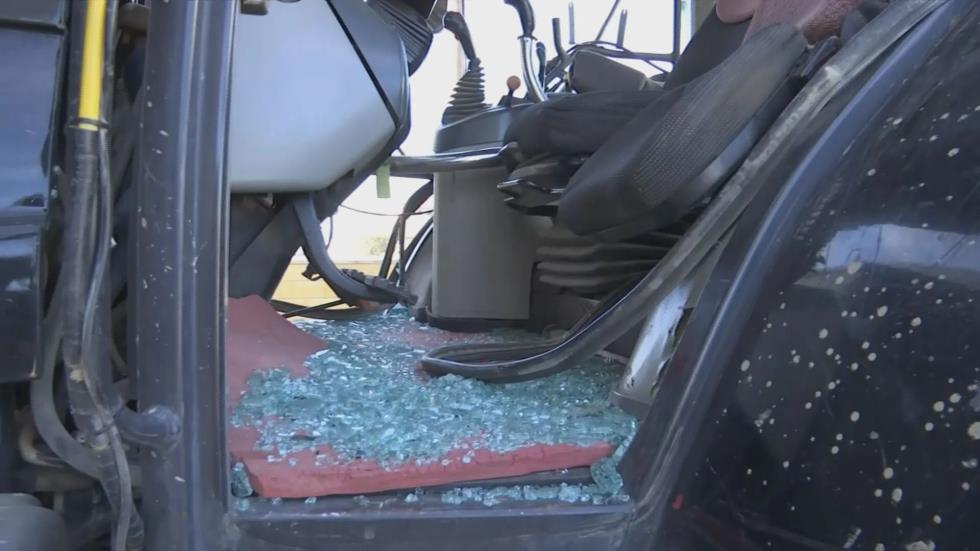 5363322448907261 image