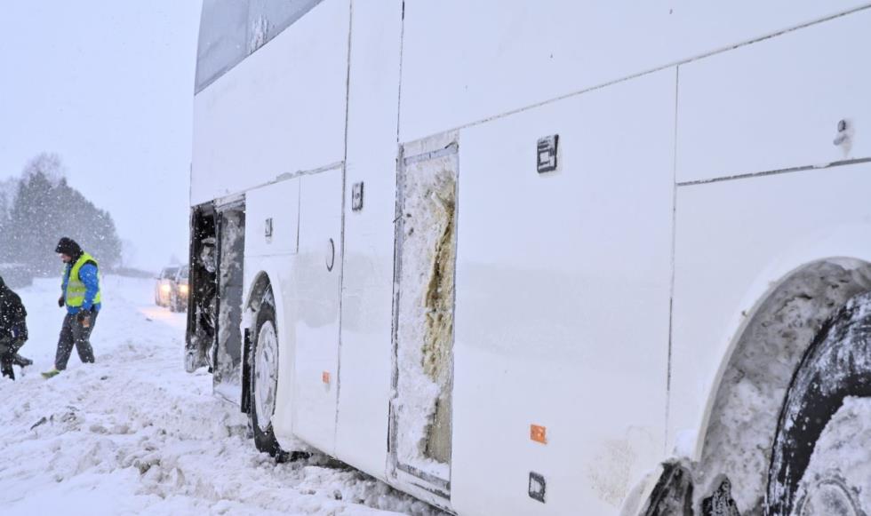 5372803067490708 Capture23