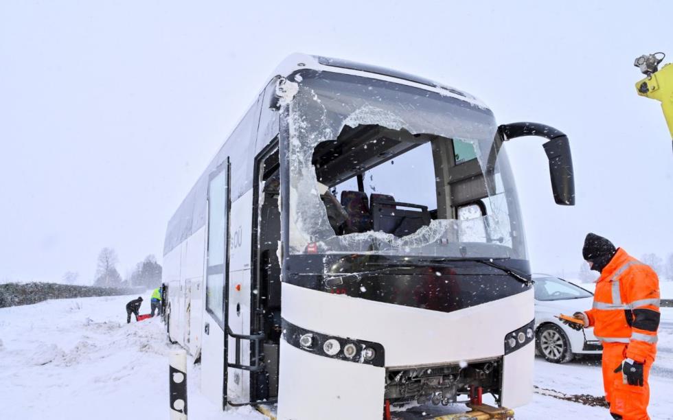 5372803045459530 Capture13