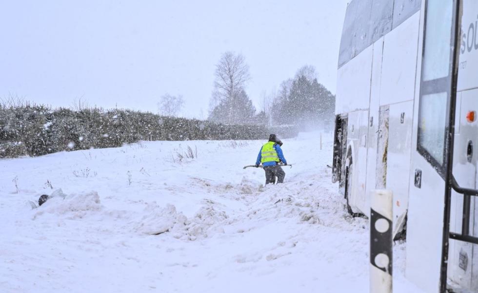 5372803088115589 Capture25