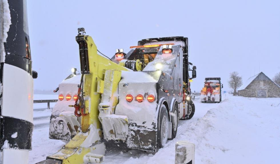 5372838386145049 image