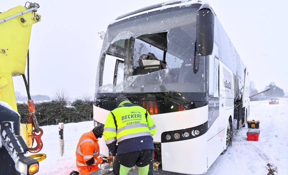 5372839015218425 image