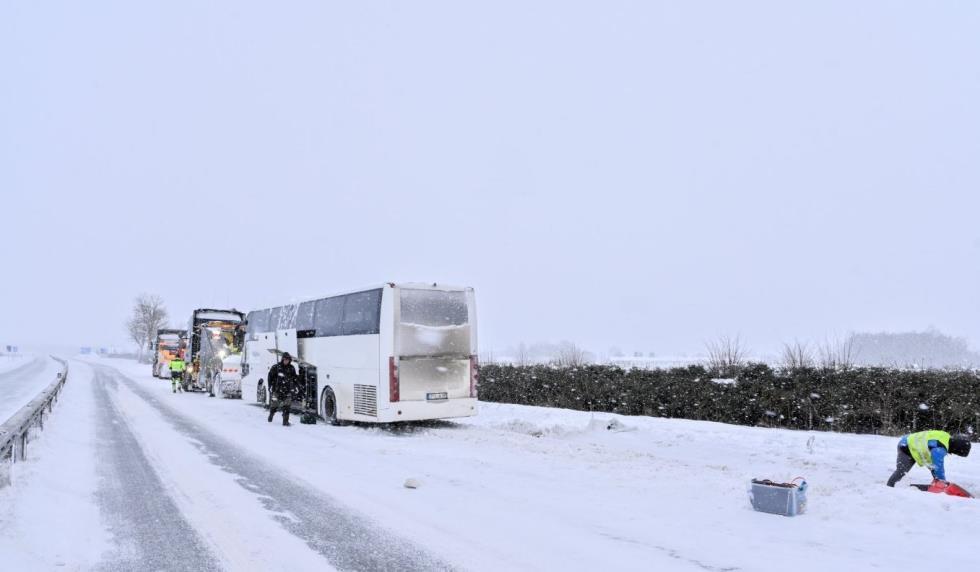 5373087533567278 image