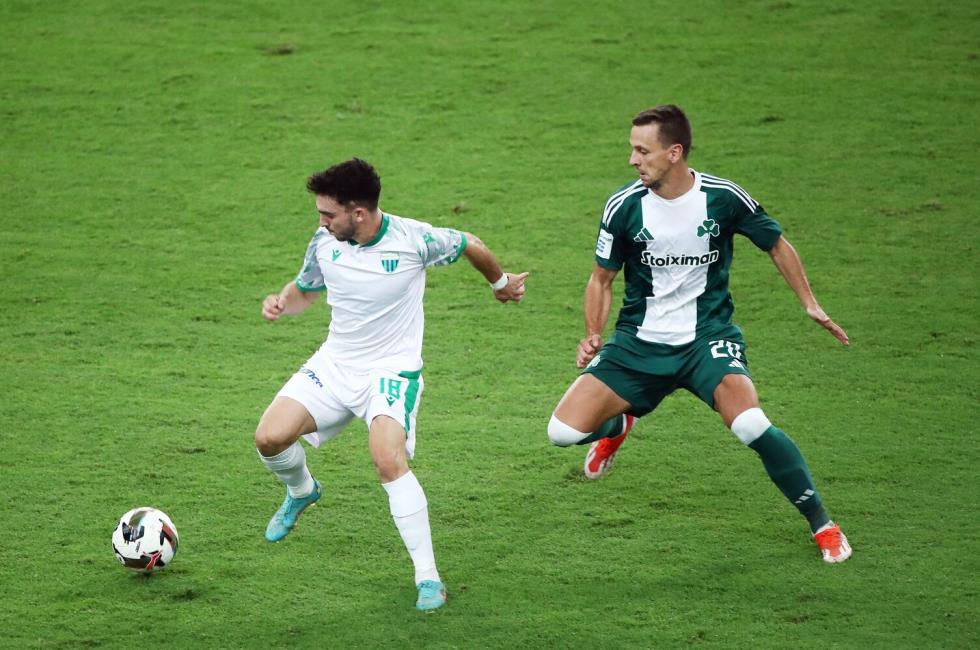 5378228259150354 image