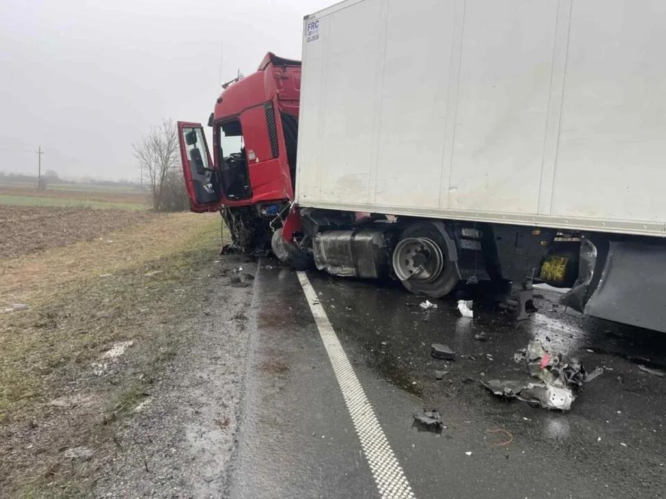 5387672482175822 image