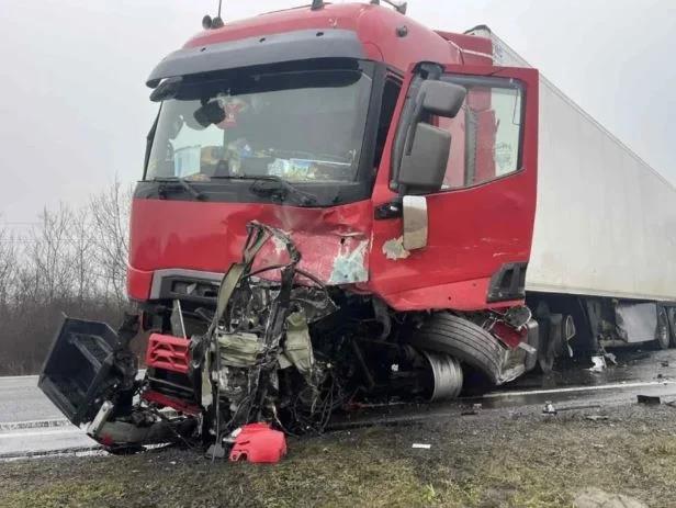 5387752002485815 image