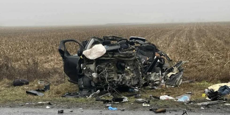 5387752172382375 image