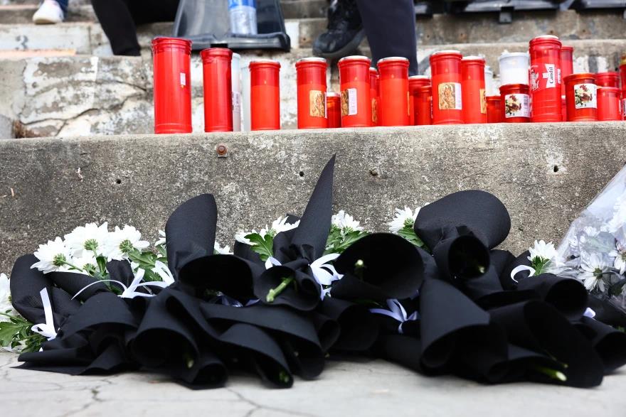 5388519842327320 image