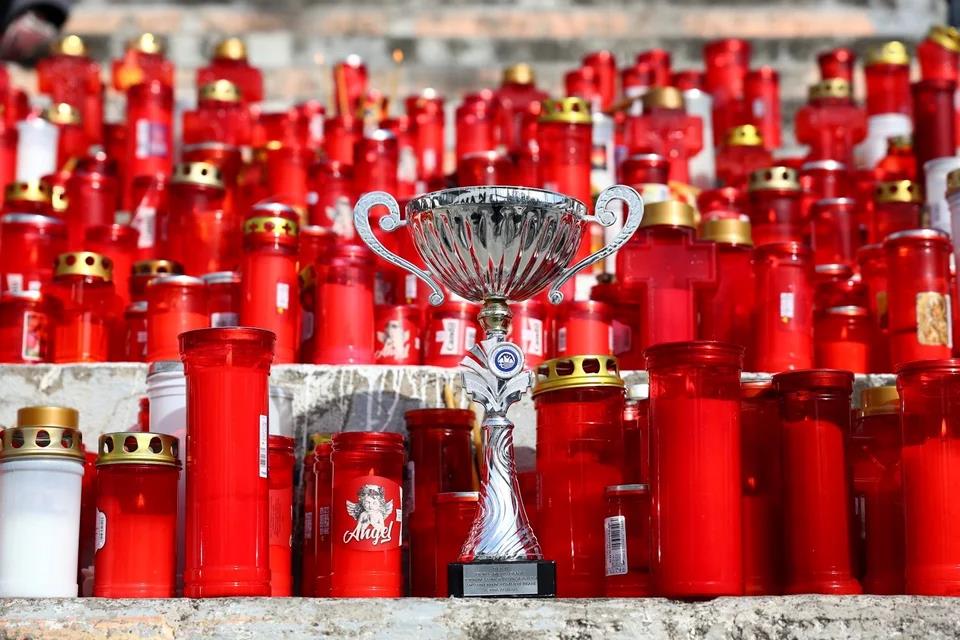 5388679772708805 image