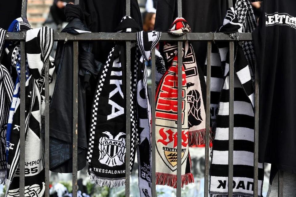 5388679815152627 image