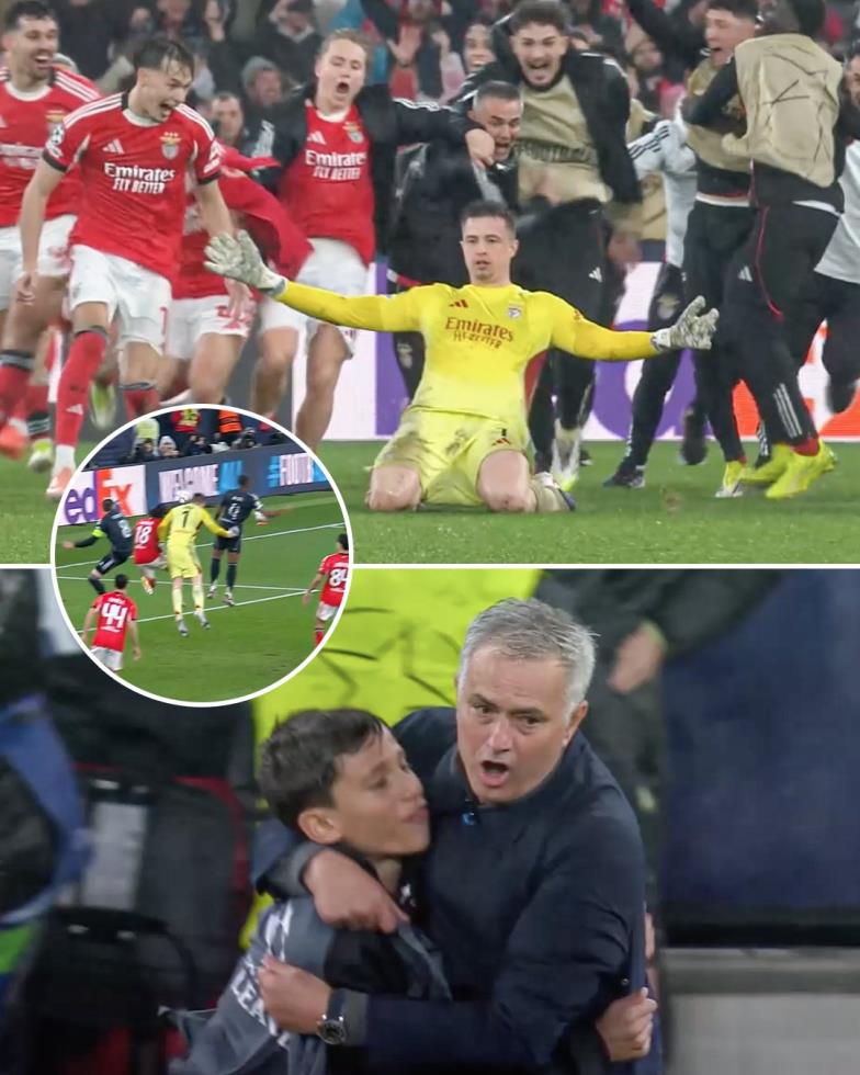 5389102968236971 image