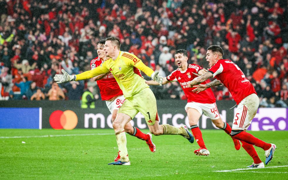 5389105655415209 image