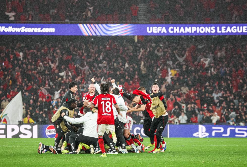 5389105733187040 image