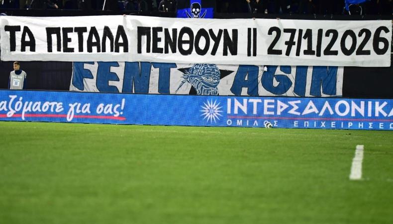 5391662233238642 image