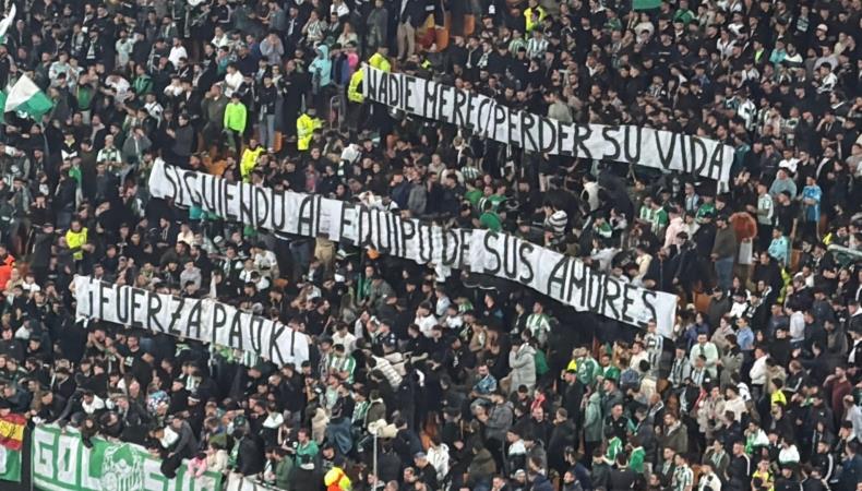 5391662365524741 image