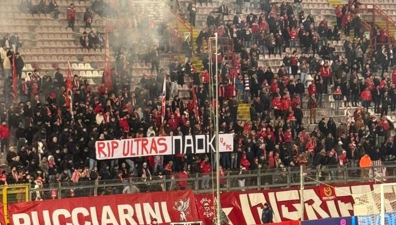 5391662606295556 image