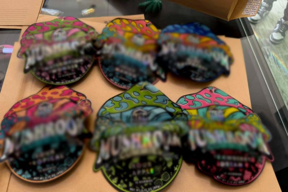 5393783822632035 IMG-889f7d83c547cb5670aa720b47ae6c54-V-1170x780