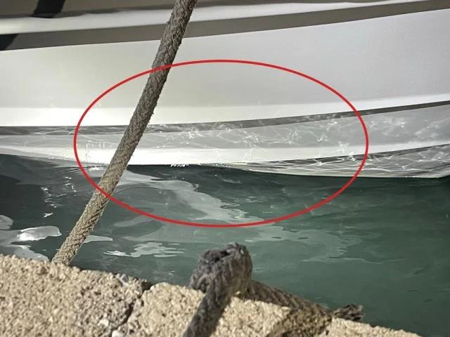 5394388496582661 image