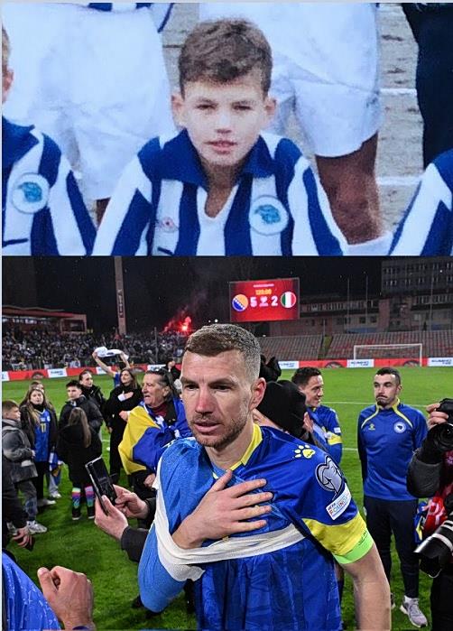 5443033312949550 image