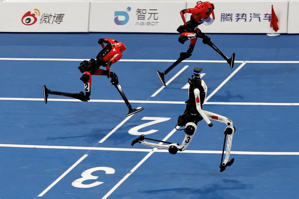 5569880074768071 image